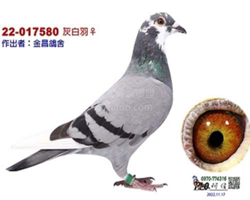 母