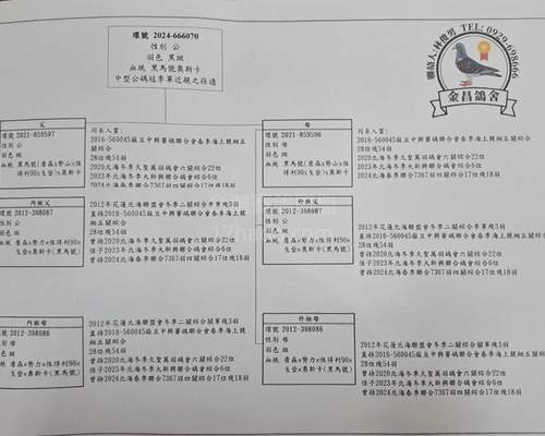 贈送鴿血統書
