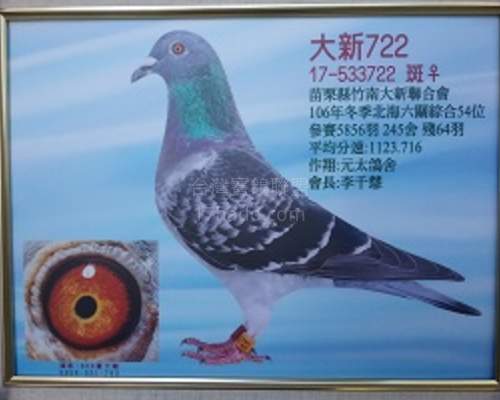 外祖母