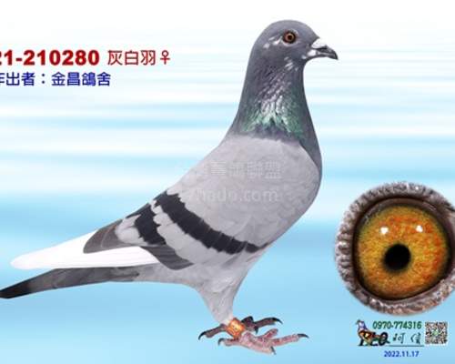 母