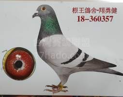 灰357 2018-00360357