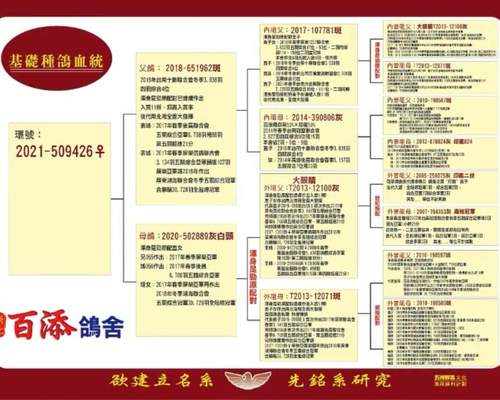 母鴿血統書