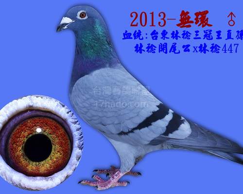 父