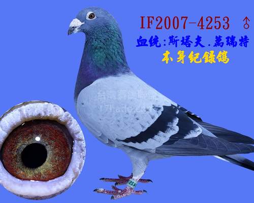 目前還在做育中，生育能力優秀