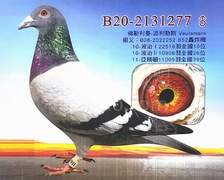  佛勒利曼-277