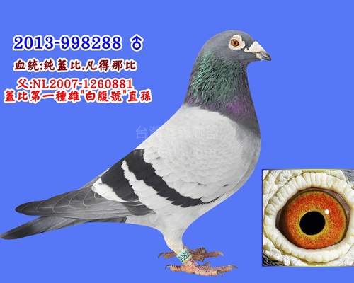 父