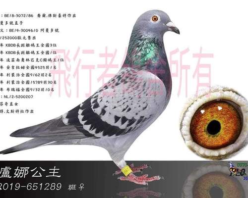 內外祖母