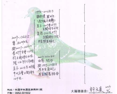 父血統書